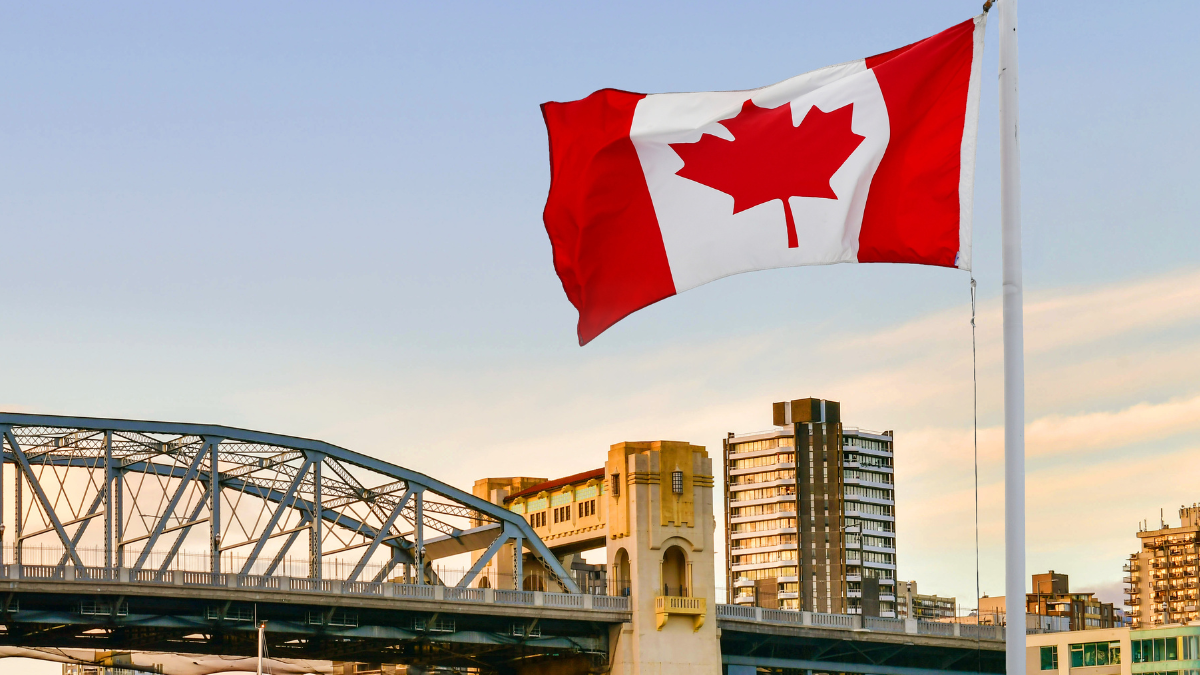 Co-Op en Canadá: todo lo que debes saber acerca de este programa en 2023