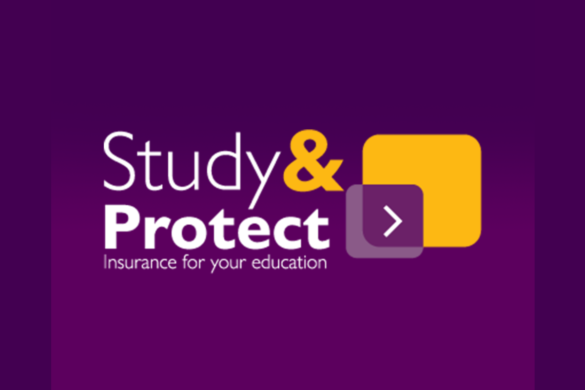 study and protect irlanda seguros